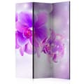 Miniatyrbild 1 av 4: Rumsavdelare - Purple Orchids - 3 Delar