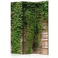 Miniatyrbild 1 av 4: Rumsavdelare - Ivy Wall - 3 Delar