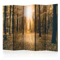 Miniatyrbild 1 av 2: Rumsavdelare - Magical Light II - 5 Delar