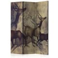Miniatyrbild 1 av 4: Rumsavdelare - Antelopes - 3 Delar