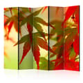 Miniatyrbild 1 av 4: Rumsavdelare - Colourful Leaves II - 5 Delar