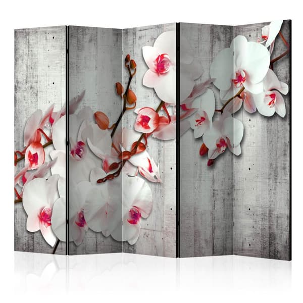 Rumsavdelare / Skärmvägg - Concrete Orchid II 225x172