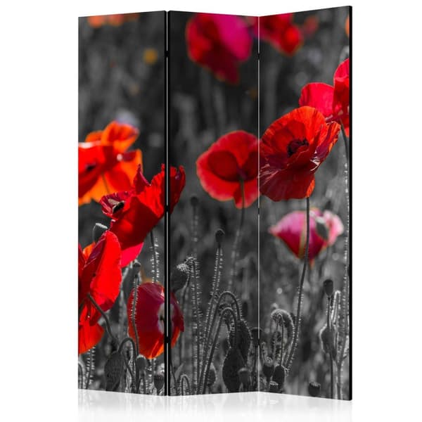 Rumsavdelare / Skärmvägg - Red Poppies 135x172