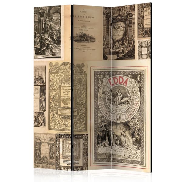 Rumsavdelare / Skärmvägg - Vintage Books