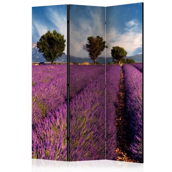 Rumsavdelare / Skärmvägg - Lavender field in Provence, France 135x172