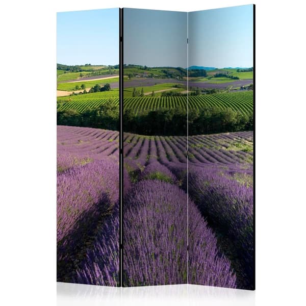 Rumsavdelare / Skärmvägg - Lavender fields 135x172