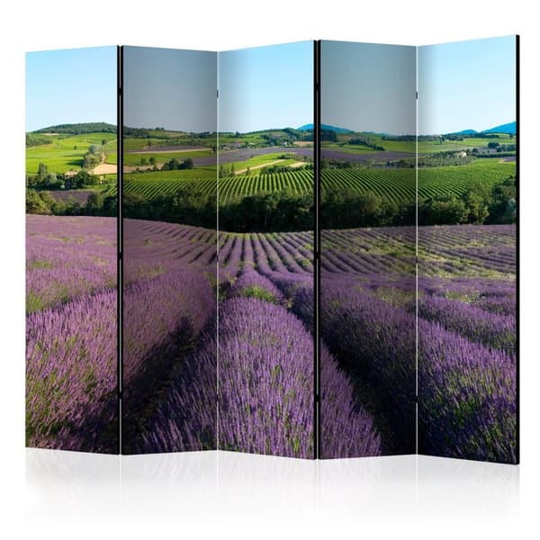 Rumsavdelare / Skärmvägg - Lavender fields II 225x172