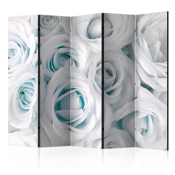 Rumsavdelare / Skärmvägg - Satin Rose (Turquoise) II 225x172