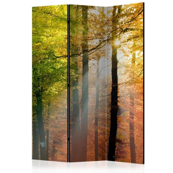 Rumsavdelare / Skärmvägg - Forest Colours