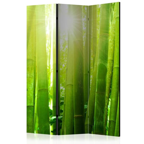 Rumsavdelare / Skärmvägg - Sun and bamboo 135x172