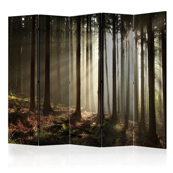 Rumsavdelare / Skärmvägg - Coniferous forest II 225x172