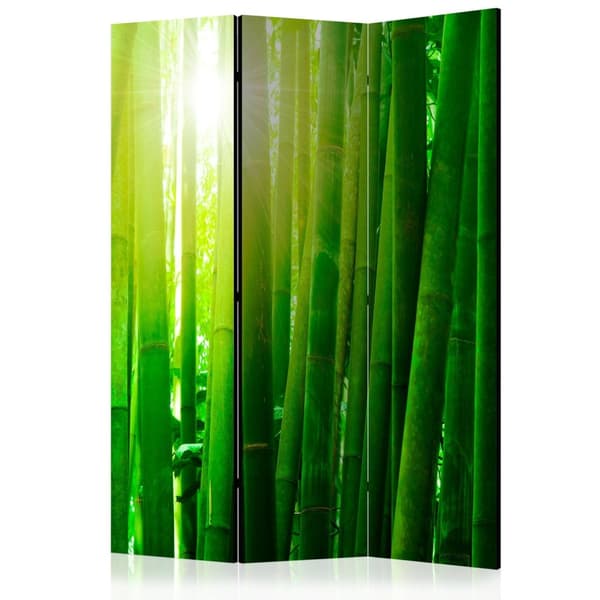 Rumsavdelare / Skärmvägg - Sun and bamboo 135x172
