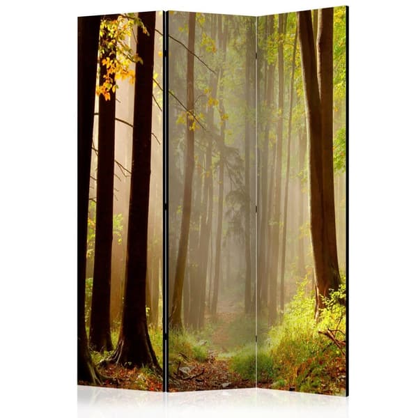 Rumsavdelare / Skärmvägg - Mysterious forest path 135x172