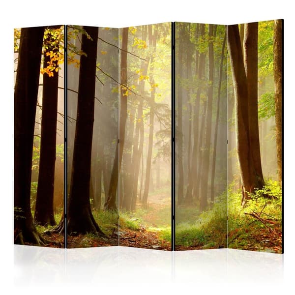 Rumsavdelare / Skärmvägg - Mysterious forest path II 225x172