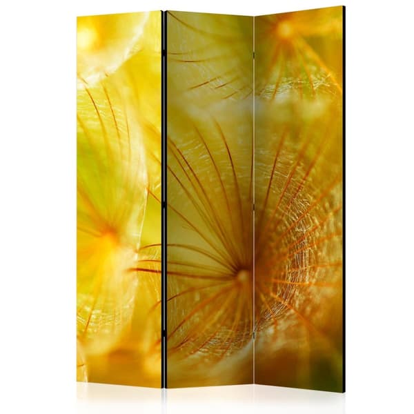 Rumsavdelare / Skärmvägg - Soft dandelion flower 135x172