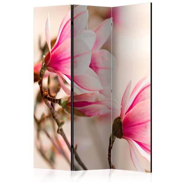 Rumsavdelare / Skärmvägg - Branch of magnolia tree 135x172
