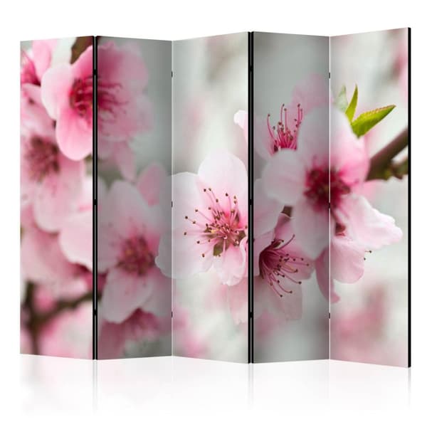 Rumsavdelare / Skärmvägg - Spring, blooming tree - pink flowers II 225x172