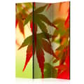 Miniatyrbild 1 av 4: Rumsavdelare / Skärmvägg - Colourful leaves