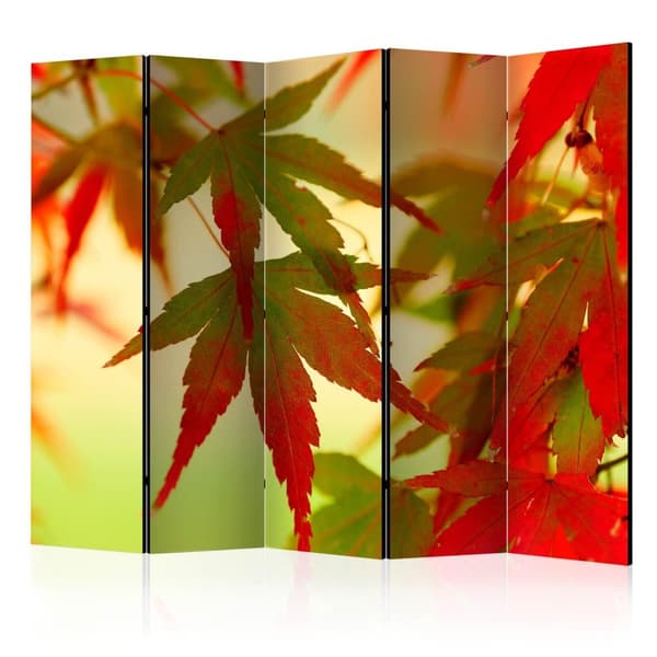 Rumsavdelare / Skärmvägg - Colourful leaves II 225x172