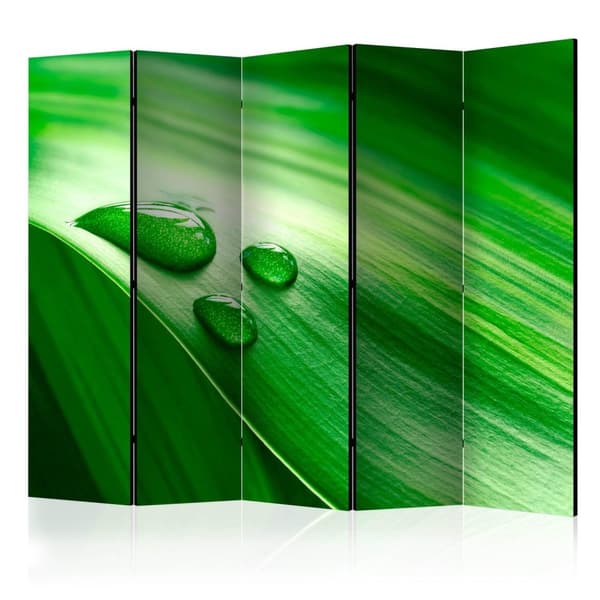 Rumsavdelare / Skärmvägg - Leaf and three drops of water II