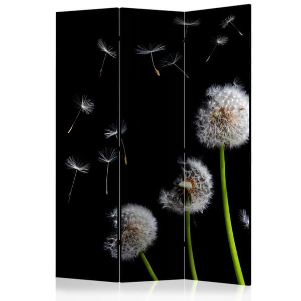 Rumsavdelare / Skärmvägg - Dandelions in the wind 135x172