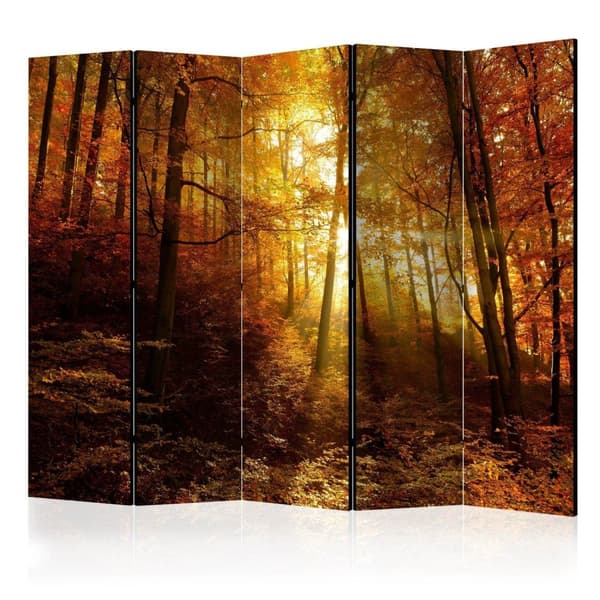 Rumsavdelare / Skärmvägg - Autumn Illumination II 225x172