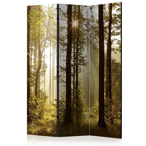 Rumsavdelare / Skärmvägg - Forest: Morning Sunlight 135x172