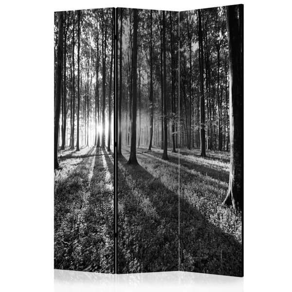 Rumsavdelare / Skärmvägg - Grey Wilderness 135x172