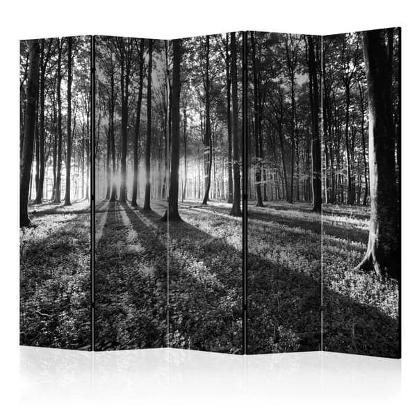 Rumsavdelare / Skärmvägg - Grey Wilderness II 225x172