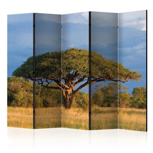 Rumsavdelare / Skärmvägg - African acacia tree, Hwange National Park, Zimbabwe II 225x172