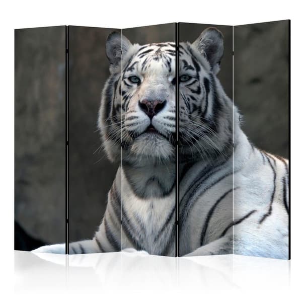 Rumsavdelare / Skärmvägg - Bengali tiger in zoo II 225x172