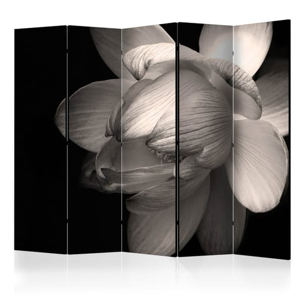 Rumsavdelare / Skärmvägg - Lotus flower II 225x172