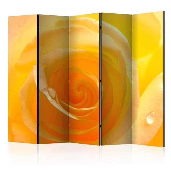 Rumsavdelare / Skärmvägg - Yellow rose II 225x172