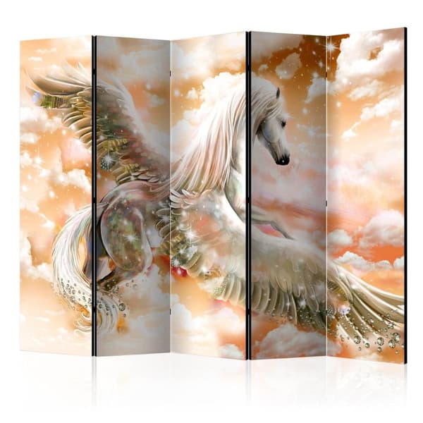 Rumsavdelare / Skärmvägg - Pegasus (Orange) II 225x172