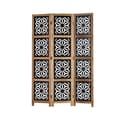 Miniatyrbillede 1 af 9: Rumdivider, 170x120x2.0 cm, Sort