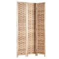 Miniatyrbillede 5 af 11: Rumdelare, 170x120x2.0 cm, Natur