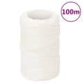 Miniatyrbilde 1 av 6: vidaXL Båttau helhvit 2 mm 100 m polypropylen