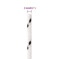 Miniatyrbillede 5 af 7: vidaXL flettet tovværk 2 mm x 100 m polyester hvid