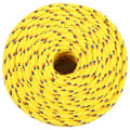 Pikkukuva 3 / 6: vidaXL Veneköysi keltainen 10 mm 25 m polypropeeni