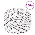 Miniatyrbillede 7 af 7: vidaXL flettet tovværk 6 mm x 100 m polyester hvid -  Reb