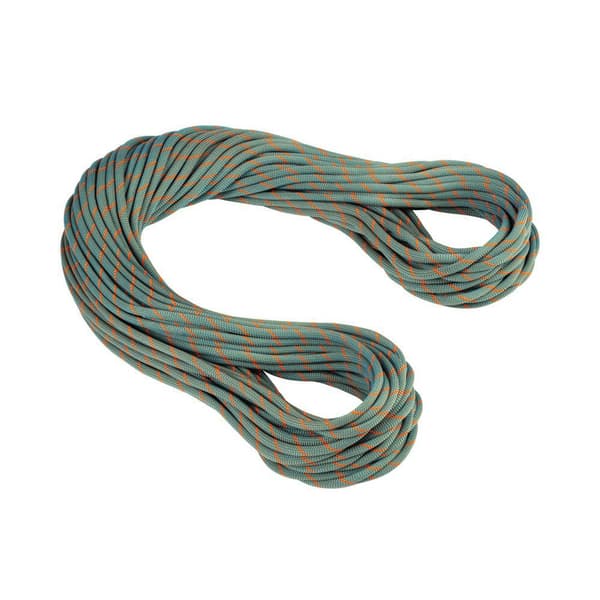 Mammut Köysi Crag Workhorse Dry 9.9 Mm Vihreä 60 m