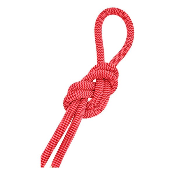 Salewa Reb Red 9.6 Mm Rød 80 m