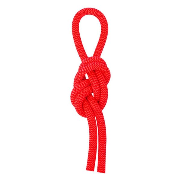 Salewa Reb Red 9.6 Mm Rød 80 m
