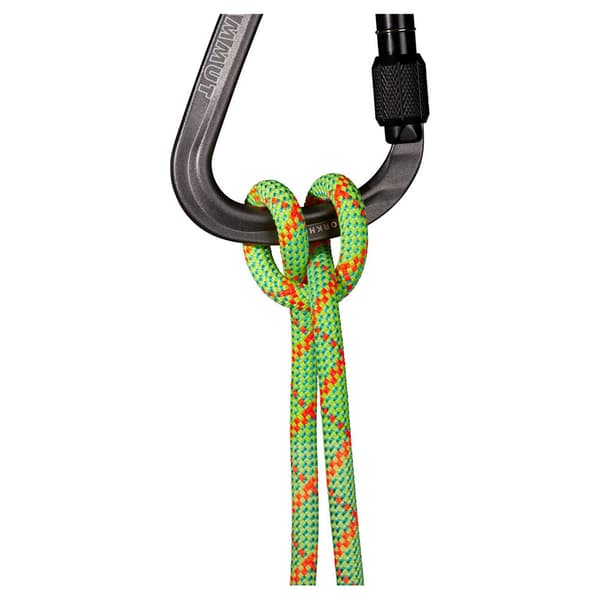 Mammut Alpine Core Protect Dry 8 Mm Rep Grönt 70 m