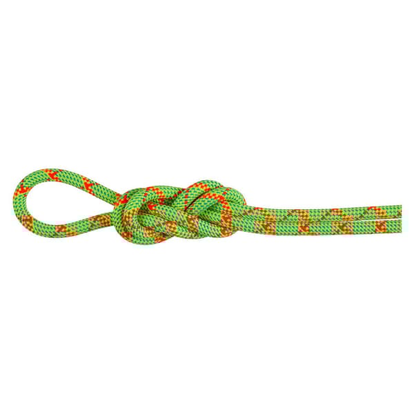 Mammut Alpine Core Protect Dry 8 Mm Rep Grönt 70 m