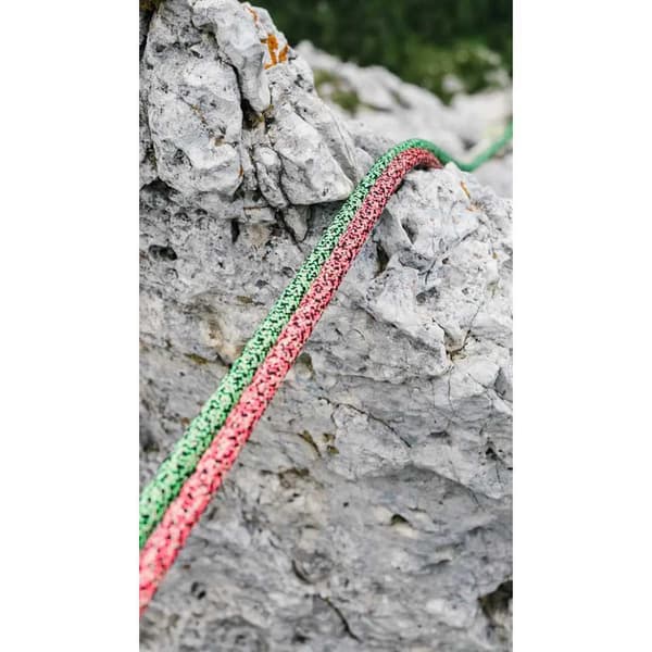 Edelrid Rep Swift Protect Pro Dry 8.9 Mm Brun 200 m