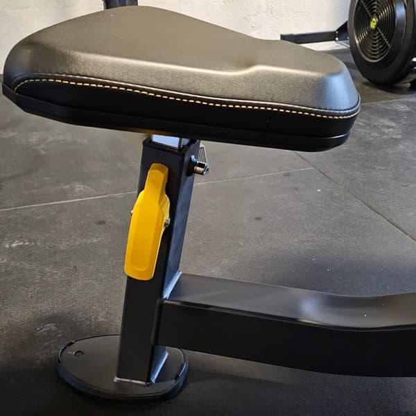 Odin PRO Preacher Curl Bench