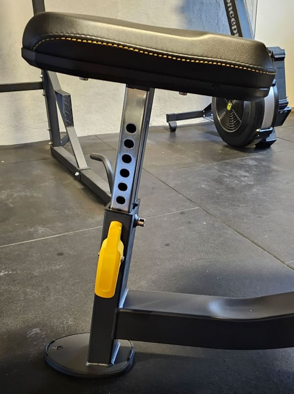 Odin PRO Preacher Curl Bench