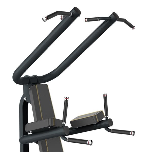 Odin PRO Chin Up/Dip/Leg Raise
