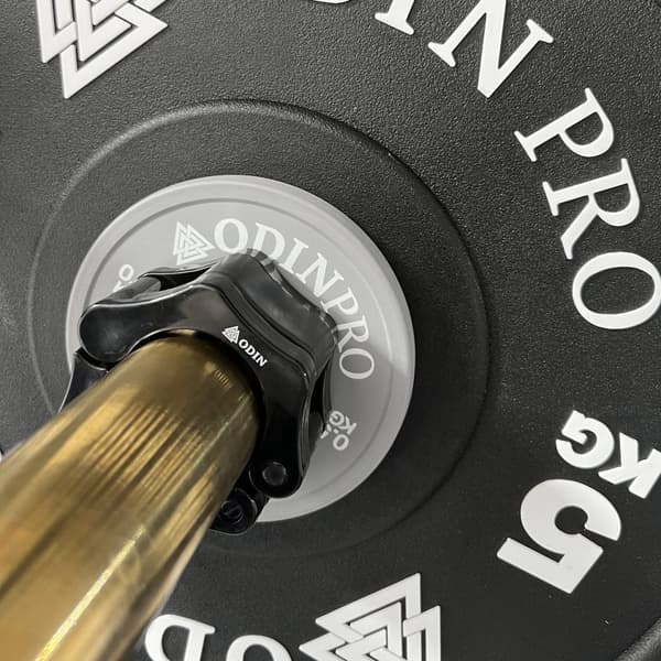 Odin PRO CPU OL Vektskiver 0,5kg